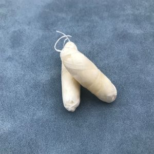 Quality Kids Use Compostable Dental Floss Peppermint Flavor Zero Waste wholesale