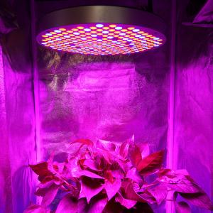 China SMD2835 Red Blue 289 Leds Dimmable Plant Growing Lamp on sale