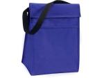 Insulated Lunch Sack, Cooler Lunch Bag, Lunch Tote Bag