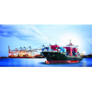 Quality China To Sydney DDP Sea Freight wholesale