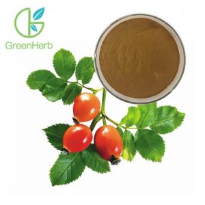 Quality Fruit Extract Powder Herbal Extract Rose Hips Extract Powder 5% VC wholesale