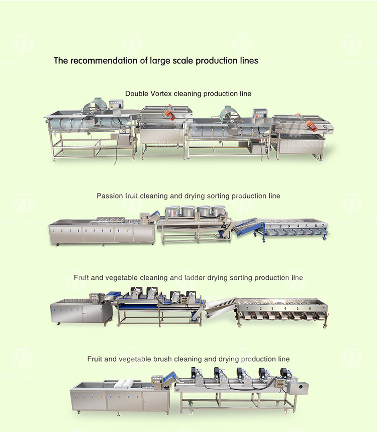 150KG 2.05KW Automatic fruit and vegetable segmentation machine stainless steel vegetable and fruit cutting machine