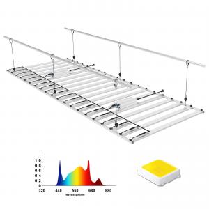 Quality Large Grow Space Commercial LED Grow Light Driver Reomvable Balance Heat Dissipation wholesale