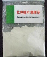 Quality Eucommia Ulmoides Leaf Extract Aucubin 98% powder wholesale