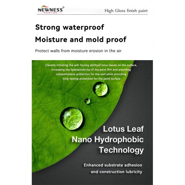 Semi-Matt Alkali-resistant Exterior Wall Sealing Topcoat for Long-lasting Performance