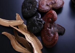 China Reishi mushroom glossy ganoderma lucidum Ganoderme luisant chinese traditional medicine Ling zhi on sale