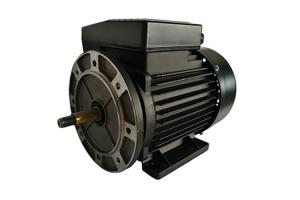 China Aluminum Housing Single Phase Induction Motor With NSK Bearing For Swimming Pump Driving on sale