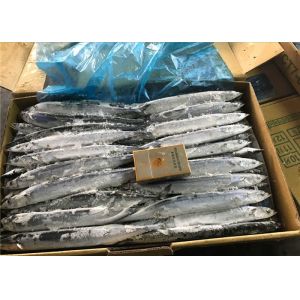 100% Net Weight BQF Seafrozen #4 Pacific Saury Fish
