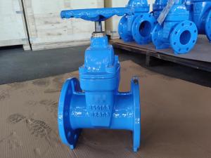 Quality CI Sluice Sewage BS5163 Gate Valve With BS4504 End Flange wholesale