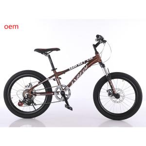 Quality 20 Inch 6 Speed MTB Mountain Bikes With Aluminum Alloy Rim wholesale