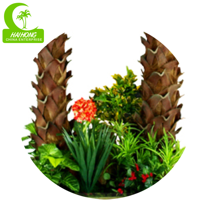 small coconut palm tree
