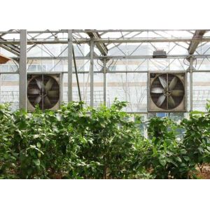 Quality 1400RPM Greenhouse Cooling System 220V / 380V Galvanized Sheet Contour Frame wholesale