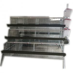 China Chicken / Broiler Cage Factory Layer Cage , Farm Chicken Breeding Cages on sale