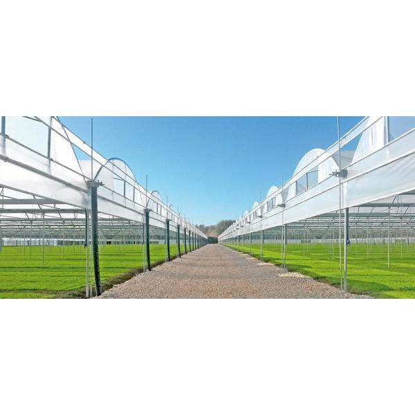Plastic Film Covered Polytunnel Greenhouse with Hydroponic System and Ventilation