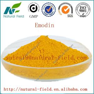China Manufacturer HOT sale emodin rhubarb extract on sale