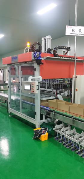 Cheap 2 Heads Automatic Box Packing Machine for sale