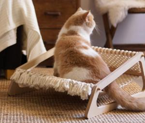 China Wooden Cat Lounger Bed Chair Hammocks 2 In 1 on sale