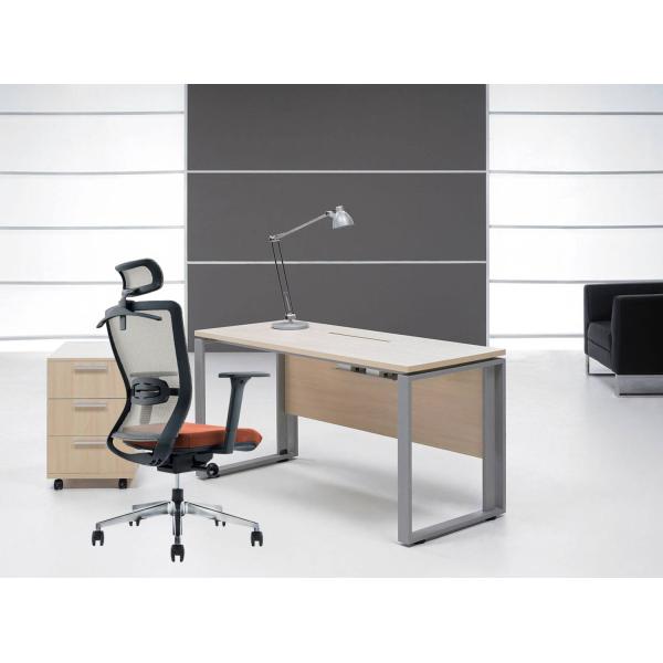 Mail Packing Mesh Ergonomic Office Chair for Workstation and Manager Modern Design Style