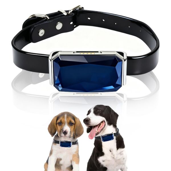 Rechargeable GPS Navigator Dog Collar Black Leather Blue Gem Shaped Adjustable Metal Buckle Waterproof 3 Year Battery Life