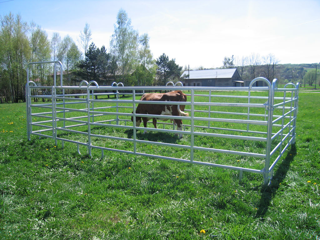 12ft Reg Corral Fence Heavy Duty Galvanized Round Pipe Portable Pens For Horses