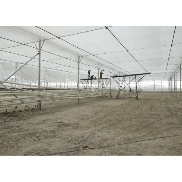 3mm 4mm 16mm 10mm Hollow Galvanized Polycarbonate Greenhouse With Growing System In Turkmenistan