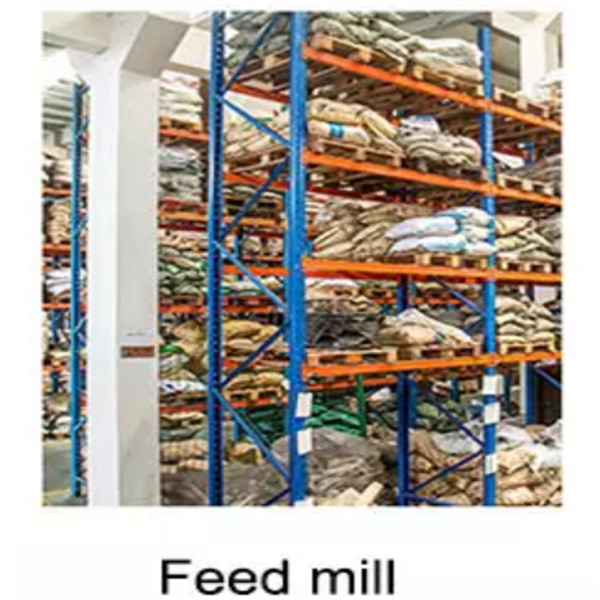 5.5kw Floating Fish Feed Pellet Mill Single Screw Pet Food Extruder Machine Antirust