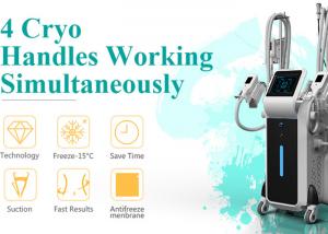 China 4 different sizes Cryo handles Zeltiq cool body sculpting machine for slim freezer weight loss on sale