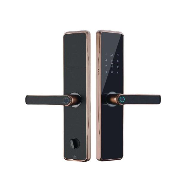 OEM ODM Black RFID Smart Door Lock With Fingerprint And Password