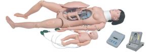Quality CPR Manikins Obstetric Birthing Maternal & Neonatal Delivery Emergency Simulator wholesale