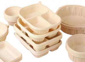 China Thin Wall Compostable Disposable Food Container Making Machine Manufacturers on sale