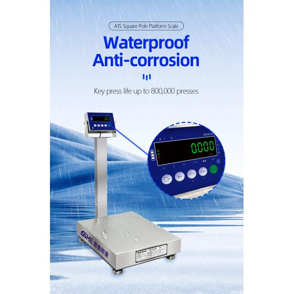 Power Supply 10.5V/1A 200KG Stainless Steel Scale for Seafood and Food Factories