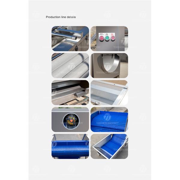 Stainless Steel Fruit And Vegetable Processing Line Brush Cleaning And Hoisting