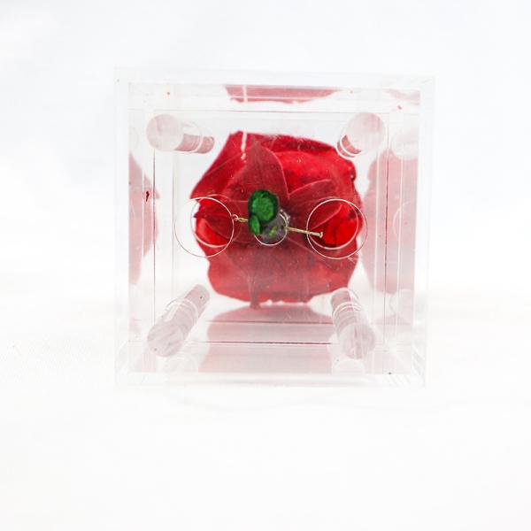Beautiful Colorful Preserved Rose Flower For Home Indoor Decoration