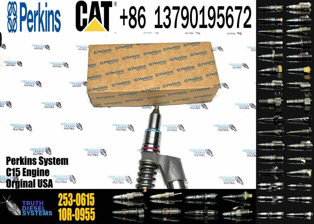 Diesel Engine Fuel Injector Excavator Accessories Diesel Motor Parts 2530618 253-0618 for Caterpillar CAT 385C 657E C15