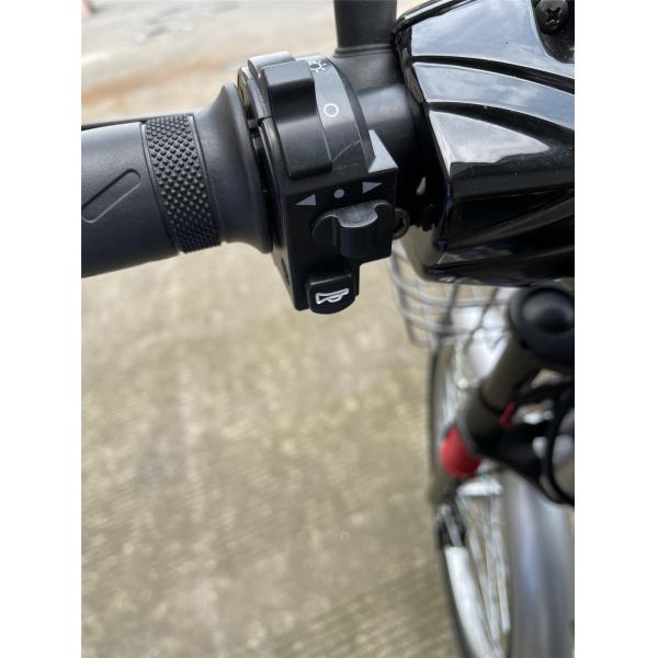 Max Speed 30 - 50Km/H Electric Bicycle 24 Inch 48V 350W City E Bikes