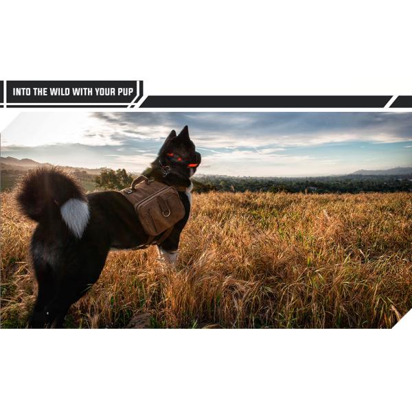 Balck Advanced Version 1000d Nylon Dog Fanny Pack Heavy Duty Water-Resistant K9 Dog Pack