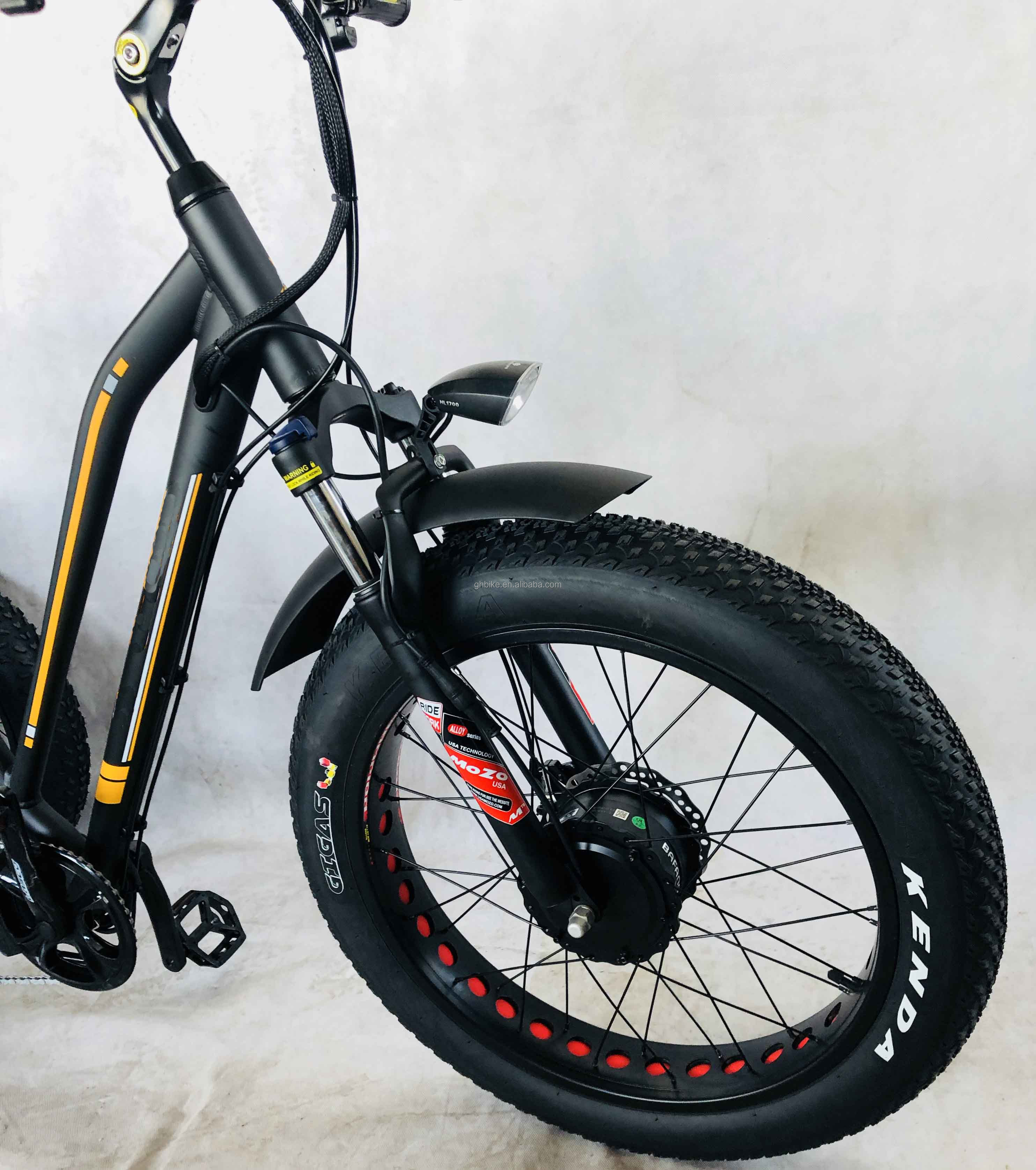 48V 750W Front Motor 24" Adult Electric Tricycle with 17AH Lithium Battery and Fat Snow Tires