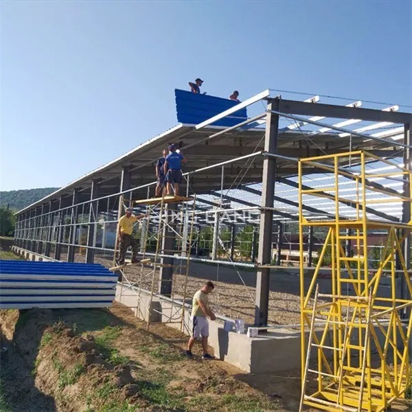 Steel Structure Prefabricated Metal Structure Steel Frame Factory Building