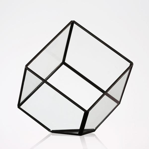 Geometric Cubic Moss Glass Homeware Flower Plant terrarium Planter Seamless