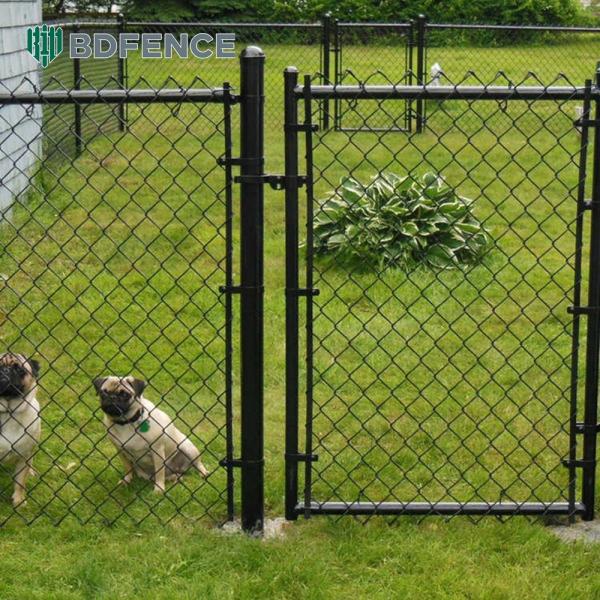 Nature Reserve Chain Link Fence Wildlife