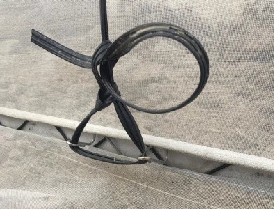 Easy Assembled Waterproof PE Film Prefabricated Single Span Tunnel Greenhouse for Strawberry Tomato Flower