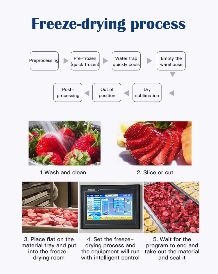 60-70 Kg/Batch Food Fruit Vegetable Large Freeze Dryer Commercial Freeze Drying Machine