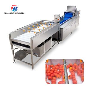 Quality SS 380V Industrial Vegetable And Fruit Washing Machine wholesale