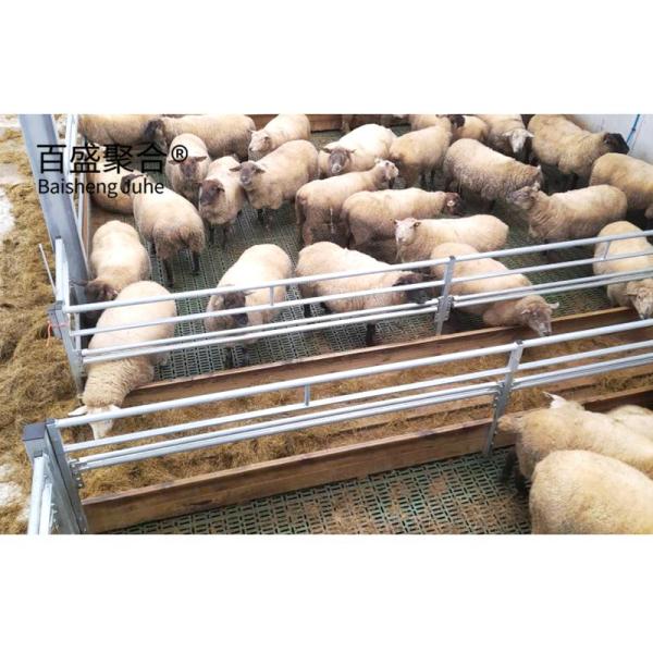 Cheap Prefabricated Barns for Cattle Horses Goats and Sheep Fast Build Steel Structure for sale