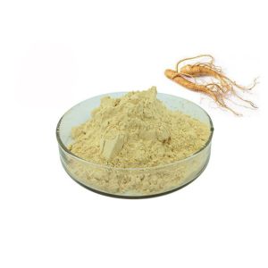 Quality 30% Ginsenosides Anti Aging Light Yellow Ginseng Extract Powder wholesale