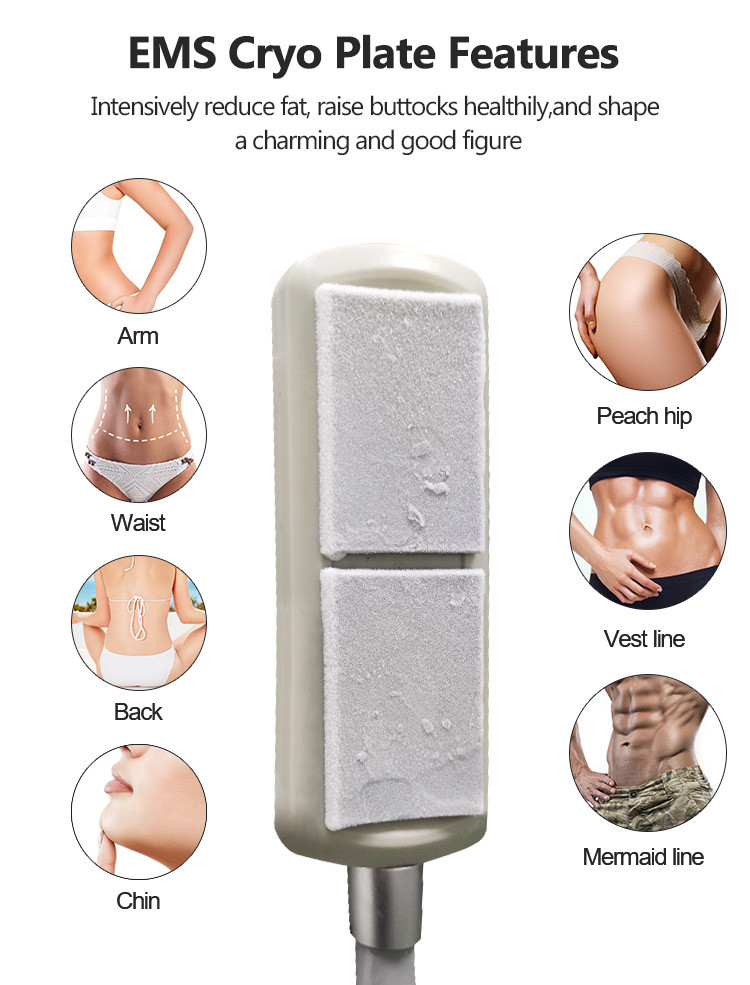 8 Plate 360 Cryolipolysis Cryo Fat Freezing Cryo Plate Weight Loss Machine