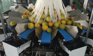 China 14 Head Multihead MCU/PLC Weigher Packing Machine For Weiging Fruits Oranges on sale
