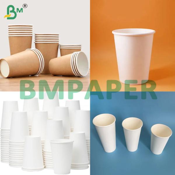 PE Coated Moisture Resistant Protection Disposable Cup Paper Rolls