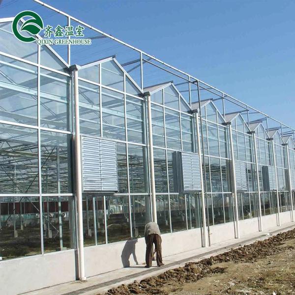 3.8m-9.8m Ridge Height Glass Solar Greenhouse for Customer Requirements