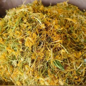 Quality Dried Honeysuckle Flowers Clear Heat Premium Honeysuckle Dried Flower wholesale